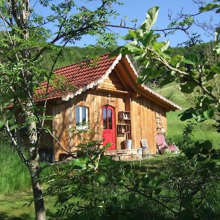 Welschensteinach Sonniges-Naturnahes-Schwarzwald-Ferienhaeuschen מראה חיצוני תמונה