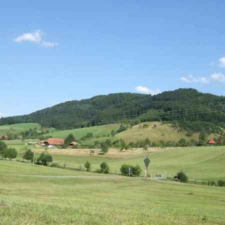 Welschensteinach Sonniges-Naturnahes-Schwarzwald-Ferienhaeuschen מראה חיצוני תמונה