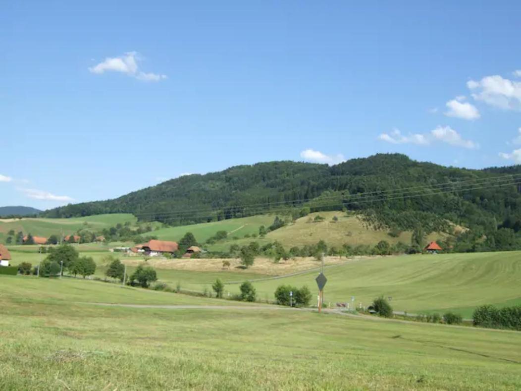 Welschensteinach Sonniges-Naturnahes-Schwarzwald-Ferienhaeuschen מראה חיצוני תמונה
