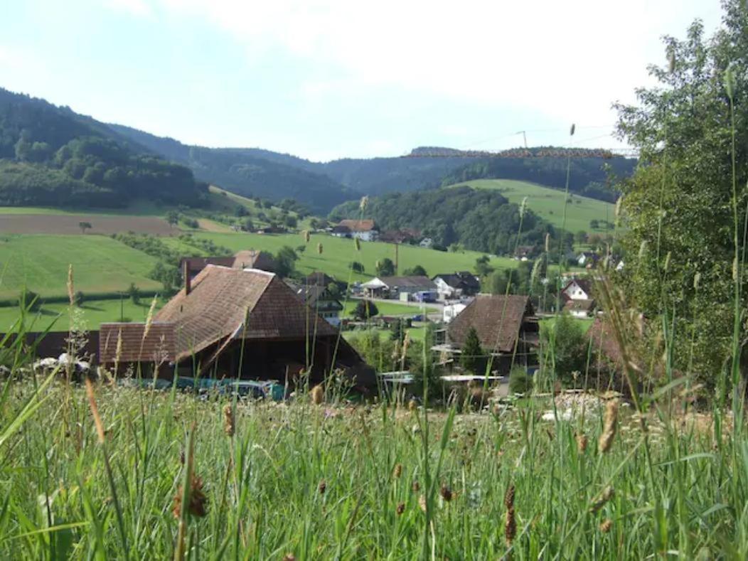 Welschensteinach Sonniges-Naturnahes-Schwarzwald-Ferienhaeuschen מראה חיצוני תמונה