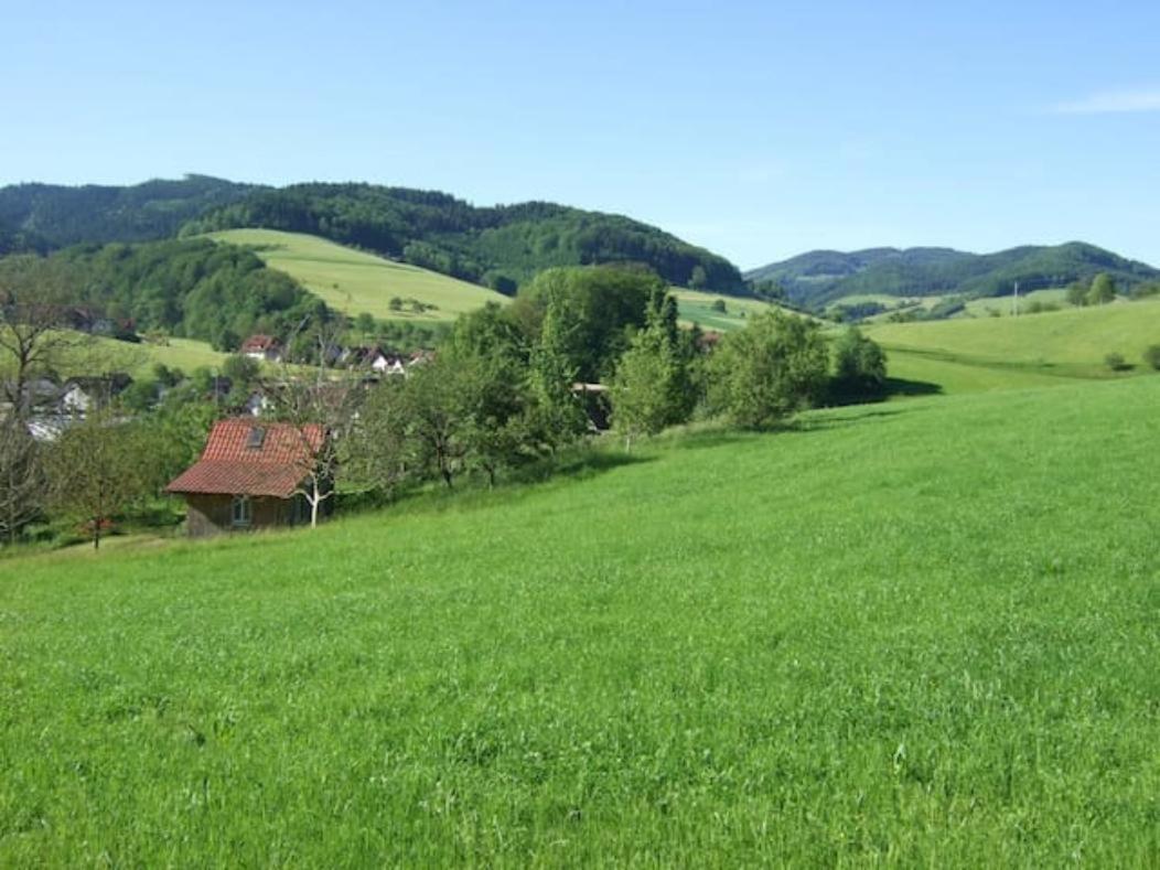 Welschensteinach Sonniges-Naturnahes-Schwarzwald-Ferienhaeuschen מראה חיצוני תמונה