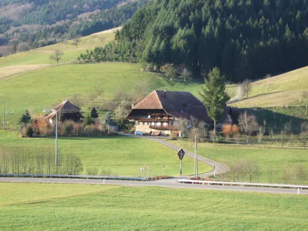 Welschensteinach Sonniges-Naturnahes-Schwarzwald-Ferienhaeuschen מראה חיצוני תמונה